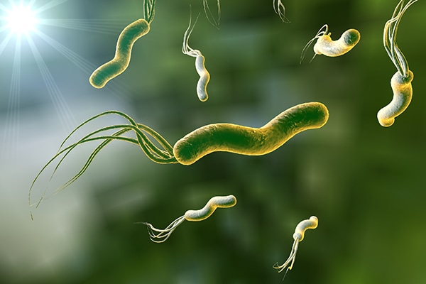 Como eliminar el Helicobacter Pylori