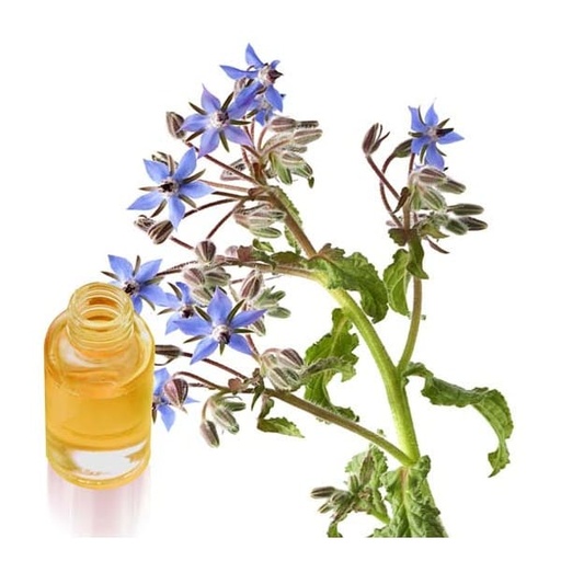 [PAB110] Perlas de aceite de Borraja 110 de 710mg