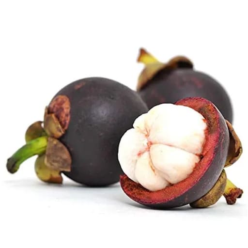[10279] Mangosteen Plus 60 cápsulas de 750mg - KO